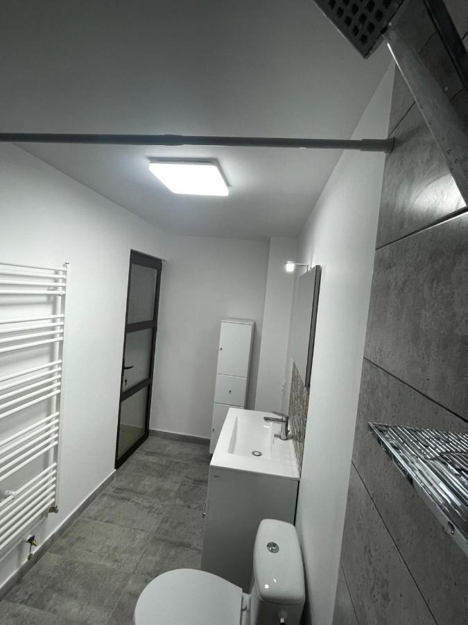 Casa Dan Apartment Buzau Luaran gambar